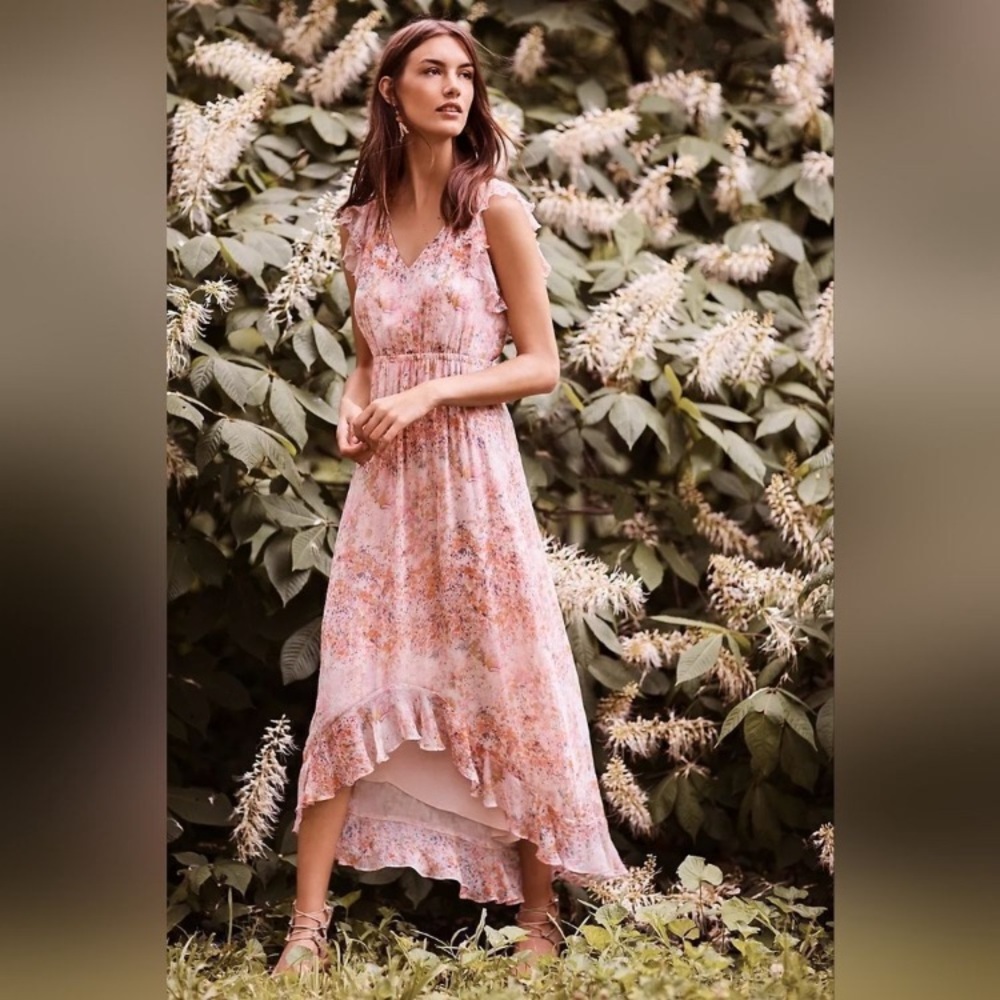 HD in Paris Anthropologie Sidra Chiffon Pink Flutter Sleeve Ruffle‎ Maxi Dress 4